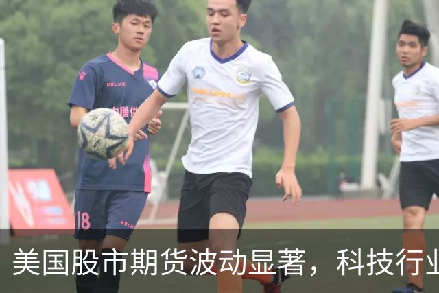 美国股市期货波动显著,科技行业表现分化